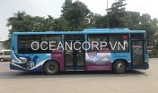 quang-cao-xe-bus-blueocean-5050